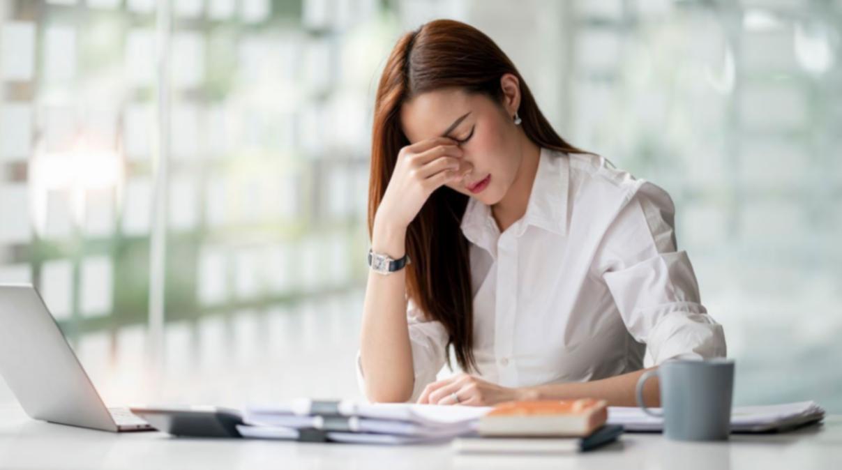 Interaktive Lernumgebung für technisches SEO